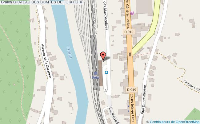 CHATEAU DES COMTES DE FOIX