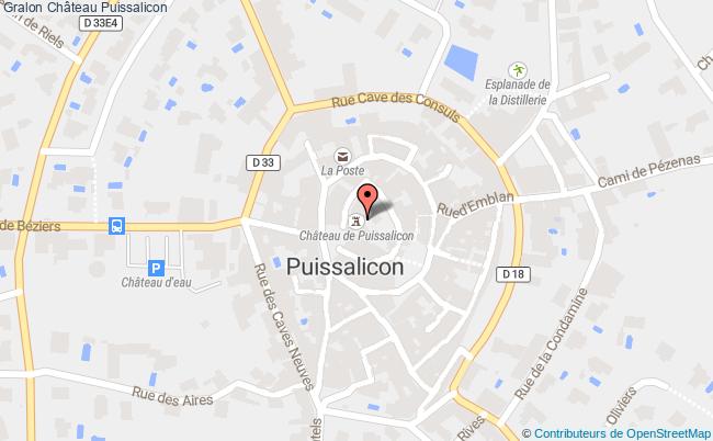 plan Château Puissalicon Puissalicon