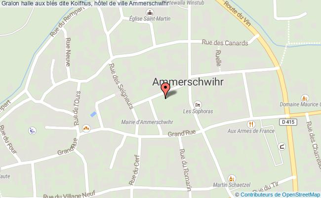 halle aux blés dite Koïfhus, hôtel de ville