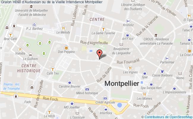 plan Hôtel D’audessan Ou De La Vieille Intendance Montpellier Montpellier