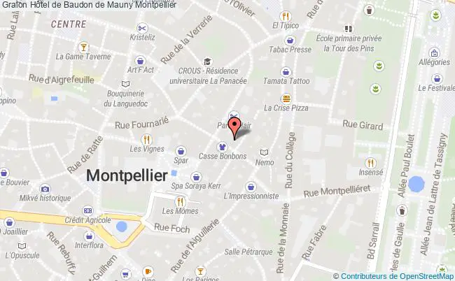 plan Hôtel De Baudon De Mauny Montpellier Montpellier