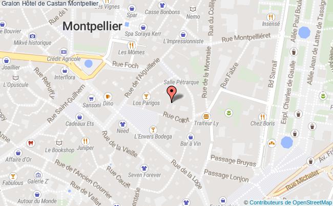 plan Hôtel De Castan Montpellier Montpellier