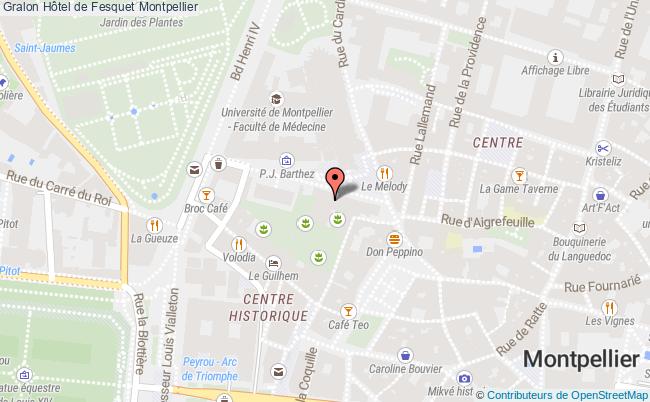 plan Hôtel De Fesquet Montpellier Montpellier