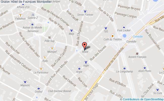 plan Hôtel De Fourques Montpellier Montpellier