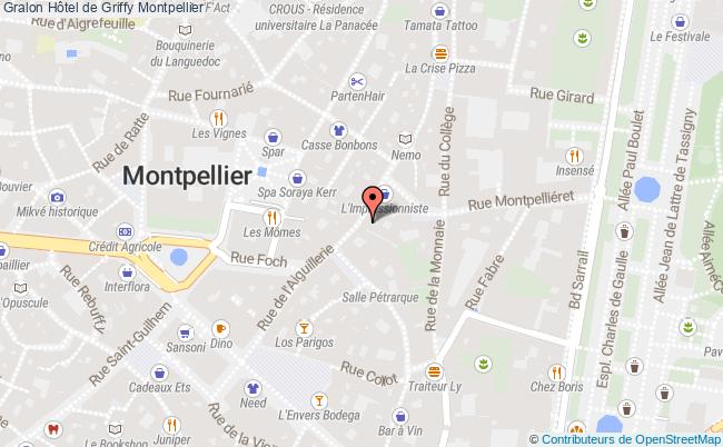 plan Hôtel De Griffy Montpellier Montpellier