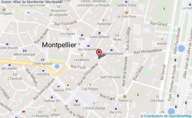 plan Hôtel De Montferrier Montpellier Montpellier