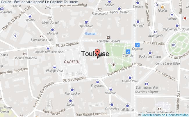 plan Hôtel De Ville Appelé Le Capitole Toulouse Toulouse