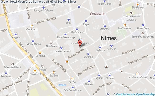 Hôtel meynier de salinelles dit hôtel boudon Nîmes tourisme