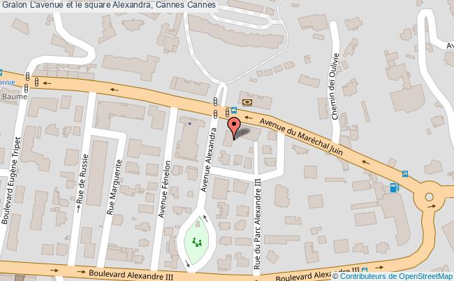 L'avenue et le square Alexandra, Cannes