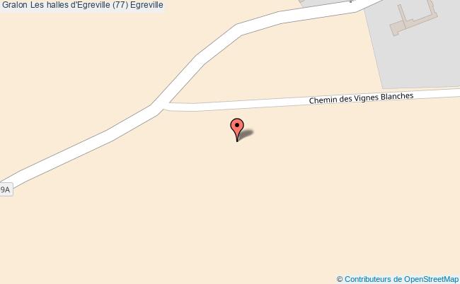 plan Les Halles D'egreville (77) Egreville Egreville