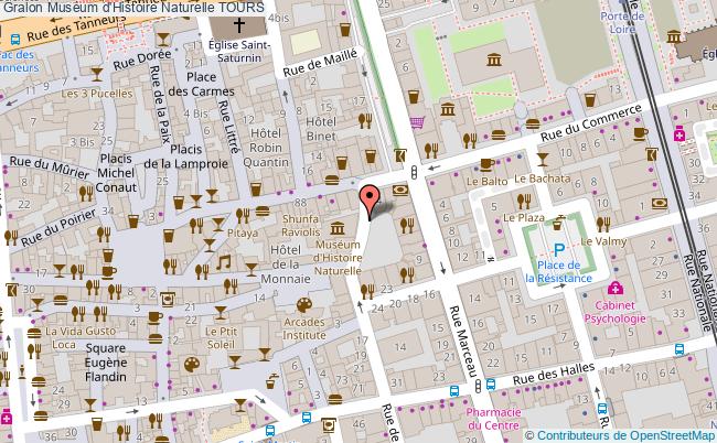 plan Muséum D'histoire Naturelle Tours TOURS