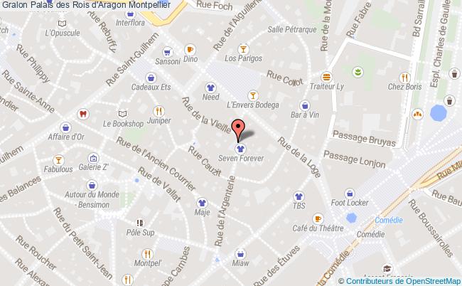 plan Palais Des Rois D'aragon Montpellier Montpellier