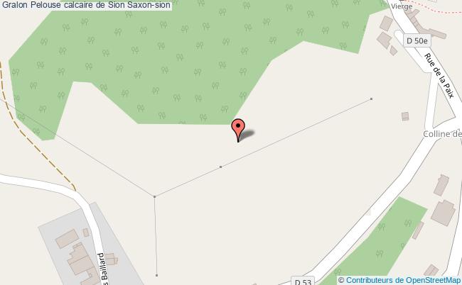 plan Pelouse Calcaire De Sion Saxon-sion Saxon-sion