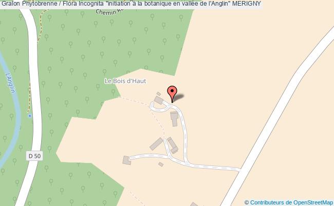 Phytobrenne / Flora Incognita "initiation à la botanique en vallée de l'Anglin"