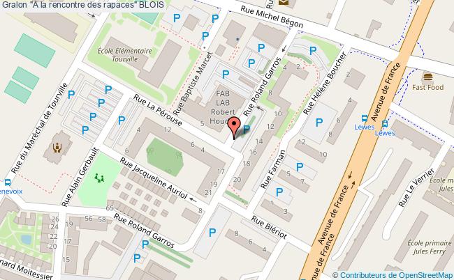 "a La Rencontre Des Rapaces"  Blois