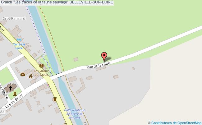 "les Traces De La Faune Sauvage"  Belleville-sur-loire