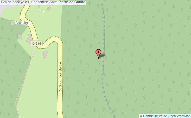 Abbaye D'hautecombe  Saint-pierre-de-curtille