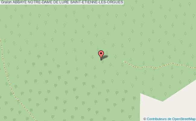 Abbaye Notre-dame De Lure  Saint-etienne-les-orgues