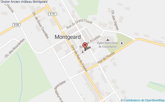 Ancien Château  Montgeard