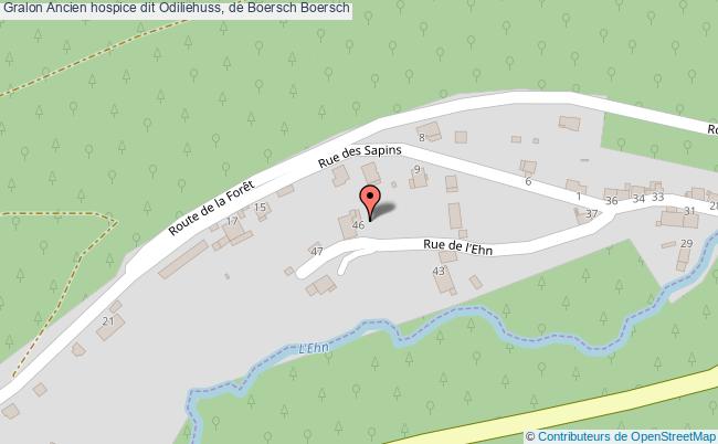 Ancien Hospice Dit Odiliehuss, De Boersch 