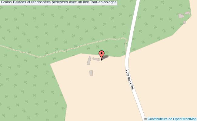 Balades Et Randonnées Pédestres Avec Un âne  Tour-en-sologne