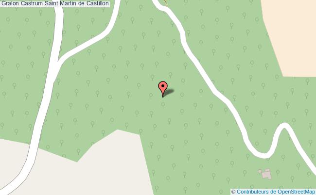Castrum  Saint-martin-de-castillon