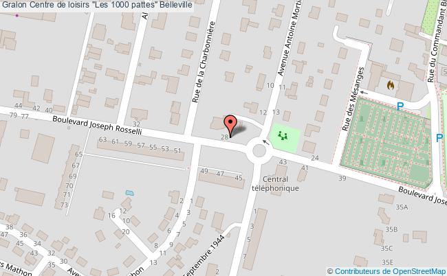 Centre De Loisirs "les 1000 Pattes"  Belleville