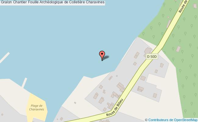 Chantier Fouille Archéologique De Colletière  Charavines