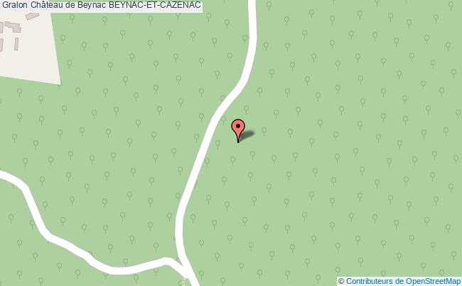 Château De Beynac  Beynac-et-cazenac