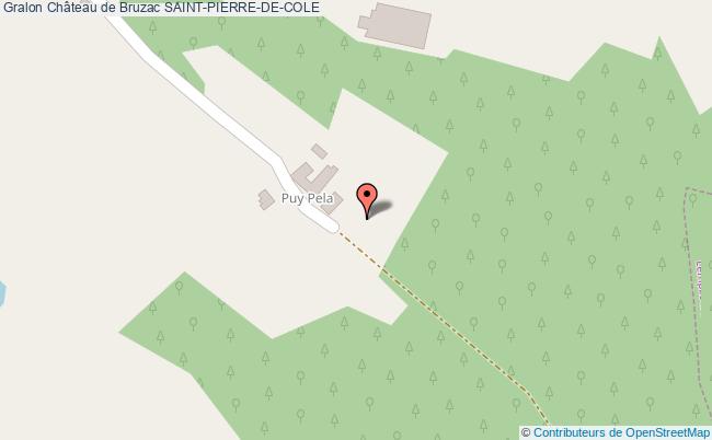 Château De Bruzac  Saint-pierre-de-côle