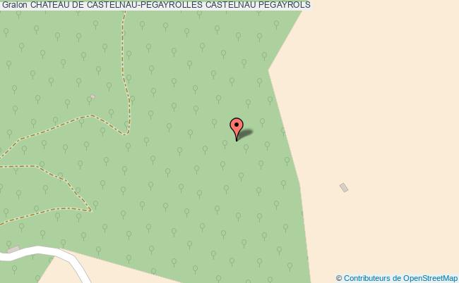 Chateau De Castelnau-pegayrolles  Castelnau-pégayrols