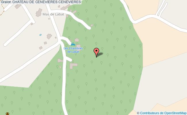 Chateau De Cenevieres  Cénevières