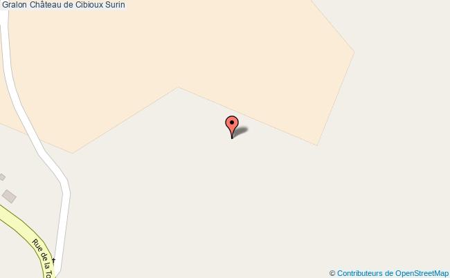 Château De Cibioux  Surin