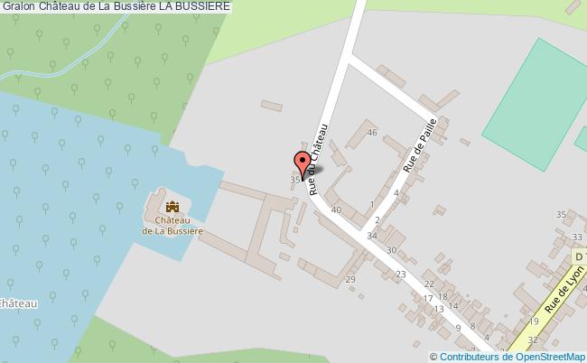 Château De La Bussière 