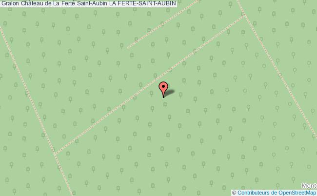 Château De La Ferté Saint-aubin  La Ferté-saint-aubin