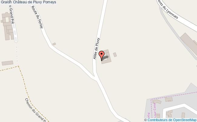 Château De Pluvy  Pomeys