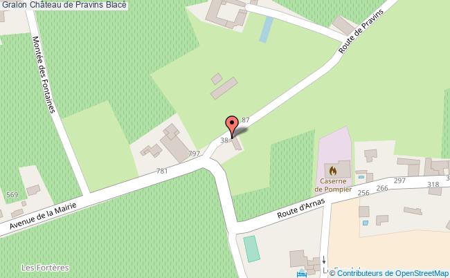 Château De Pravins  Blacé