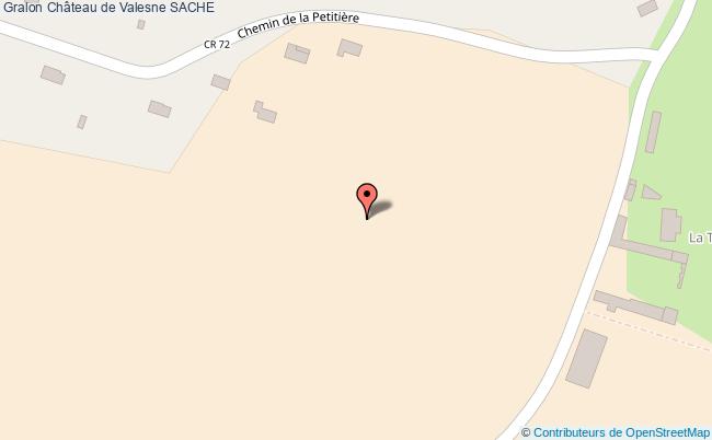 Château De Valesne  Saché