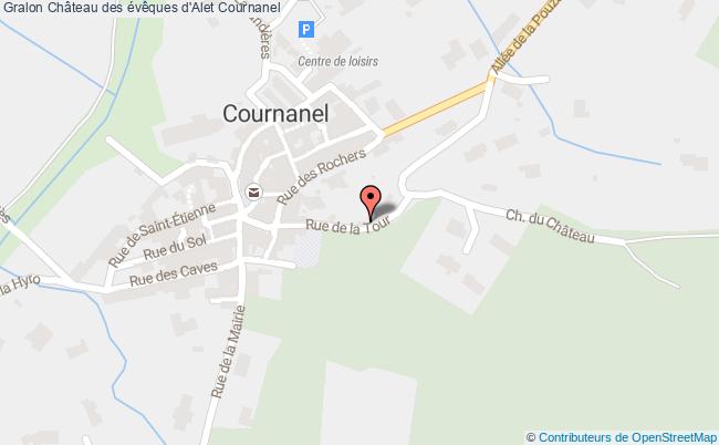 Château Des évêques D'alet  Cournanel