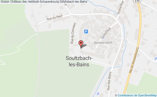 Château Des Hattstatt-schauenbourg  Soultzbach-les-bains
