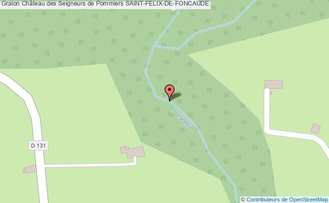 Château Des Seigneurs De Pommiers  Saint-félix-de-foncaude
