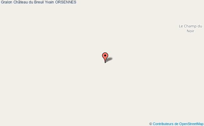 Château Du Breuil Yvain  Orsennes