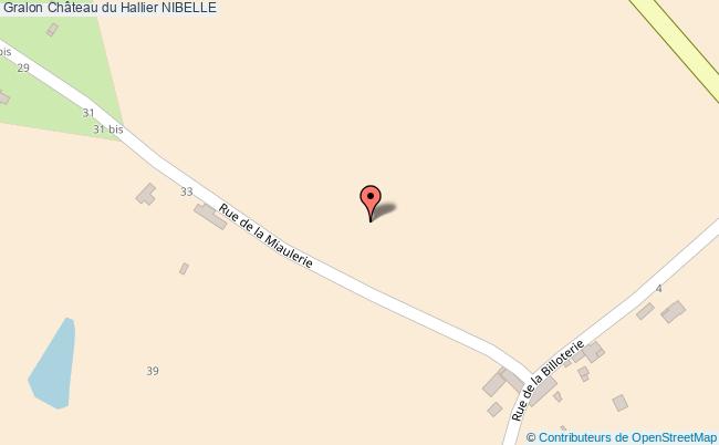 Château Du Hallier  Nibelle