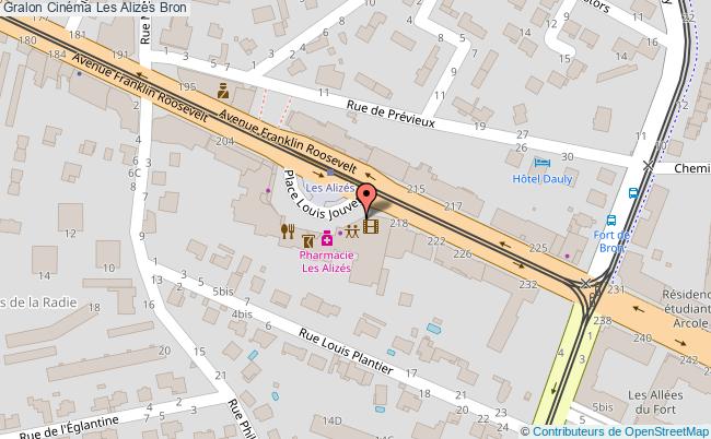 Cinéma Les Alizés  Bron