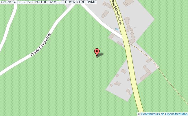 Collegiale Notre-dame  Le Puy-notre-dame