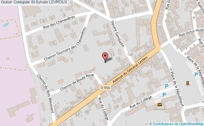 Collégiale St-sylvain  Levroux