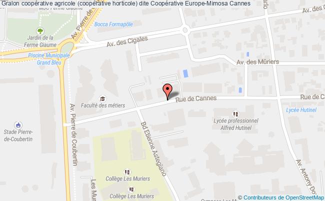 Coopérative Agricole (coopérative Horticole) Dite Coopérative Europe-mimosa  Cannes