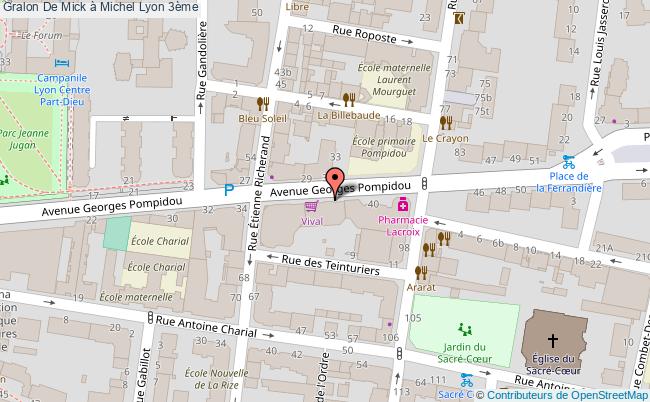 De Mick à Michel  Lyon