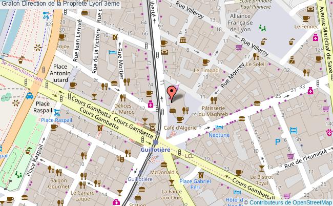 Direction De La Propreté  Lyon