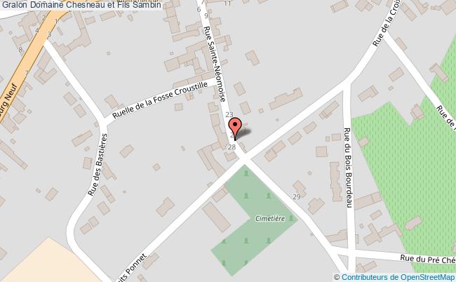 Domaine Chesneau Et Fils  Sambin